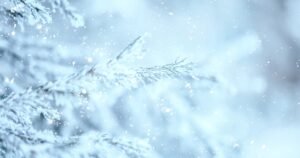 Cold Weather Delivery-the hot tub report