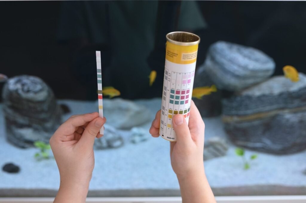 testing pH with test strip
